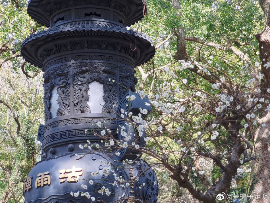 抚顺海洋馆(抚顺海洋馆导游证免票吗)