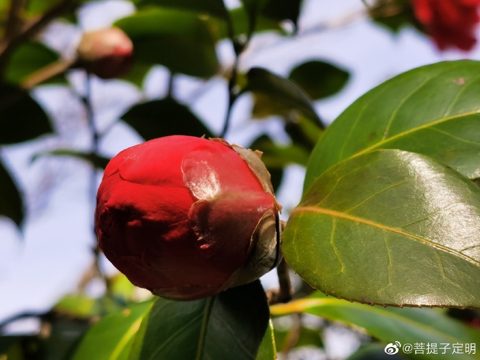 贵阳河滨公园,贵阳河滨公园有什么景色