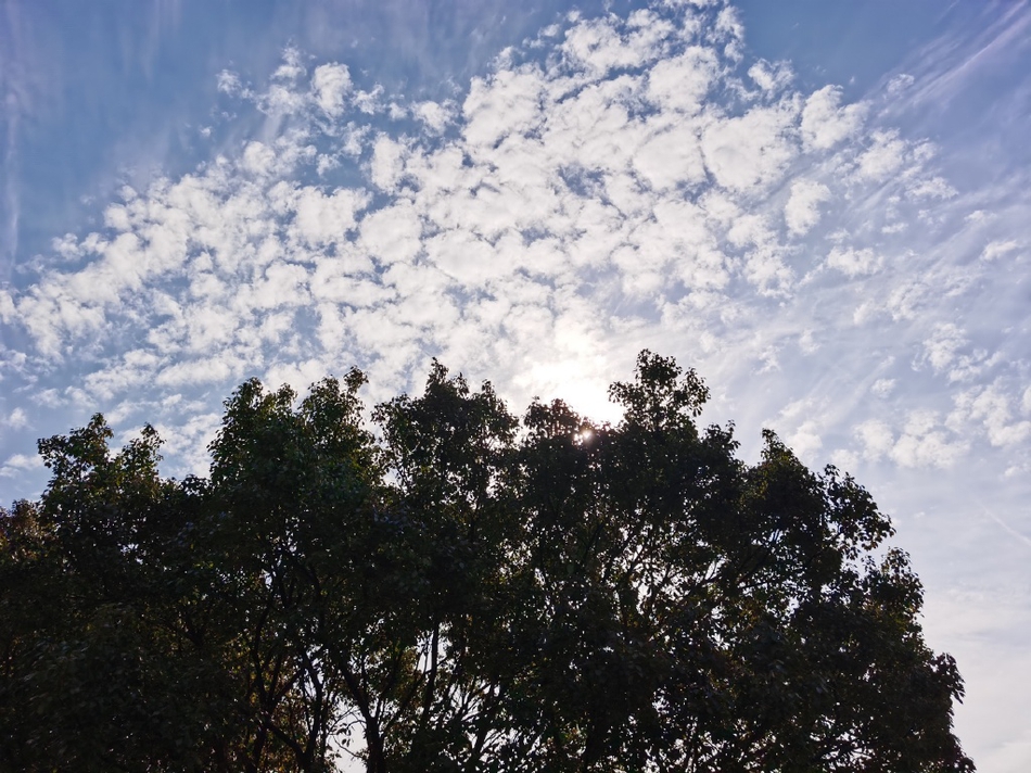 意大利著名景点(意大利著名景点比萨斜塔为什么是斜的)