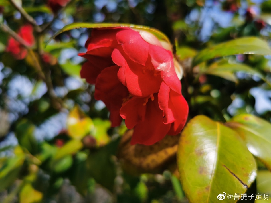 三亚三亚湾(三亚湾旅游景点攻略)