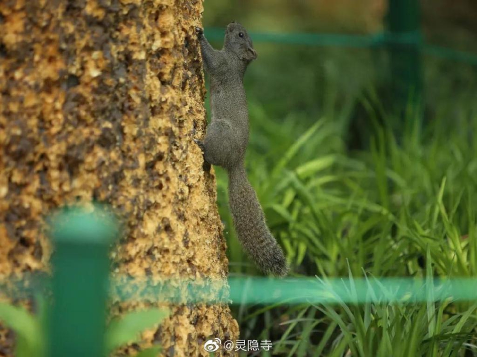 中泰国际广场(中泰国际广场星梦剧院)