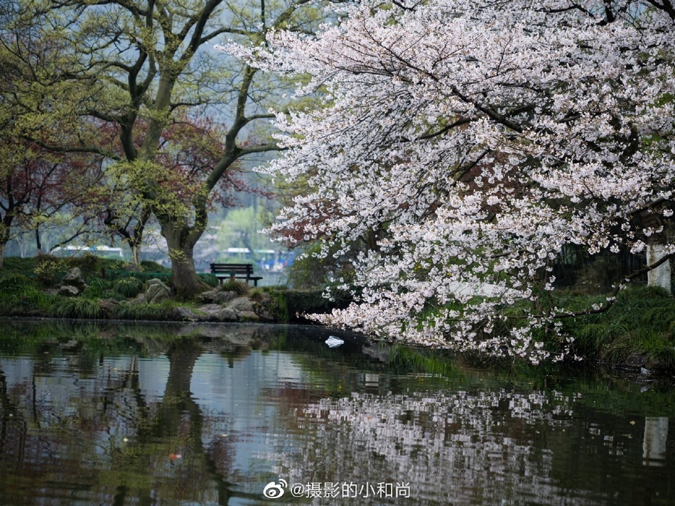 日照攻略,山东日照有什么好玩的好吃的