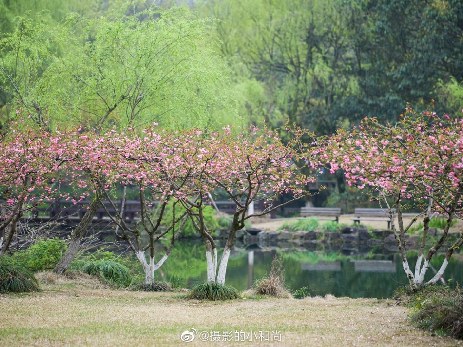 珠海旅游攻略(珠海必去十大景点排名)