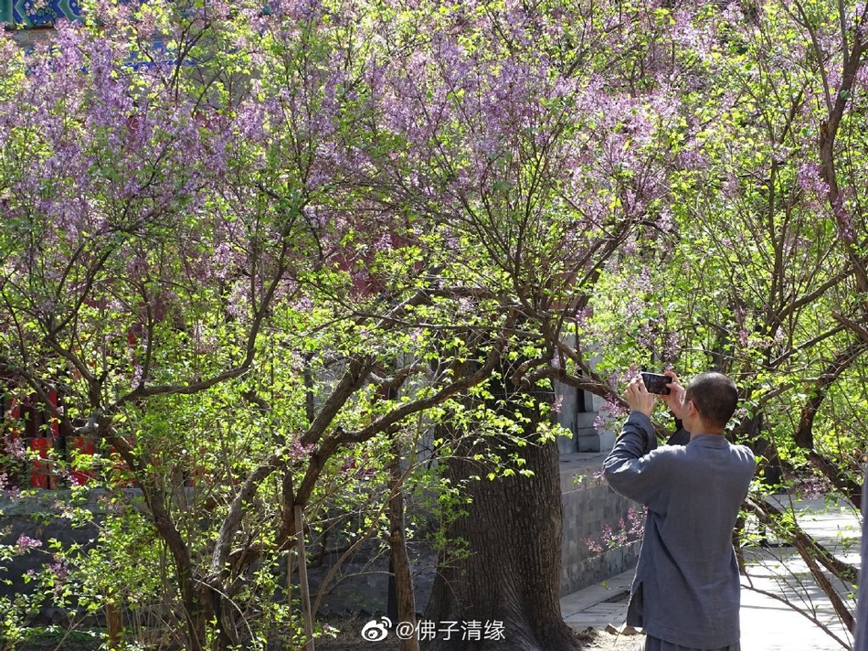 攀枝花市(攀枝花最适合养老居住的地方)