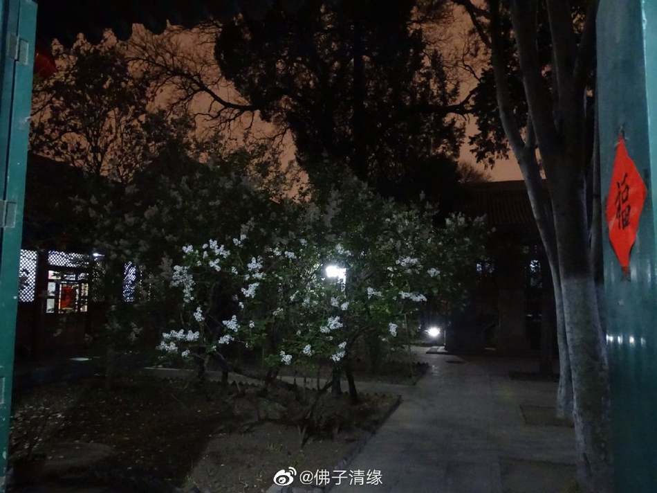 海鲜大排档(不夜粥海鲜大排档)