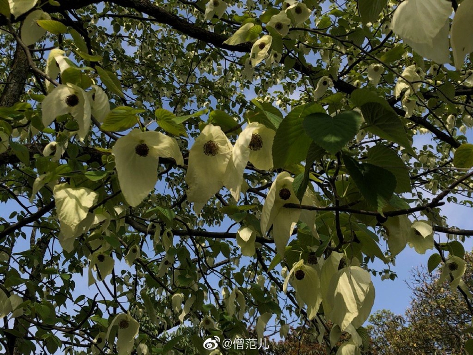 天童禅寺(天童禅寺简介)