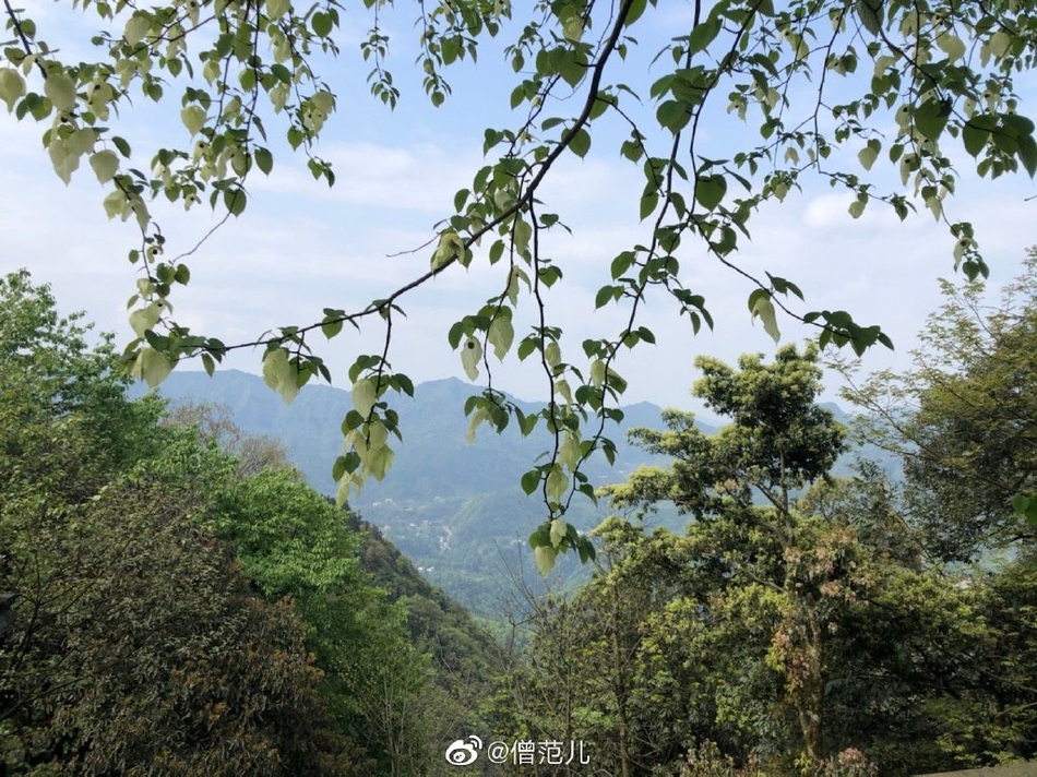 聊天软件发红包,有什么软件可以发红包不封号