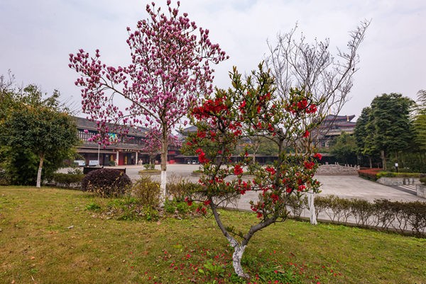 乌镇旅行(乌镇住宿推荐)