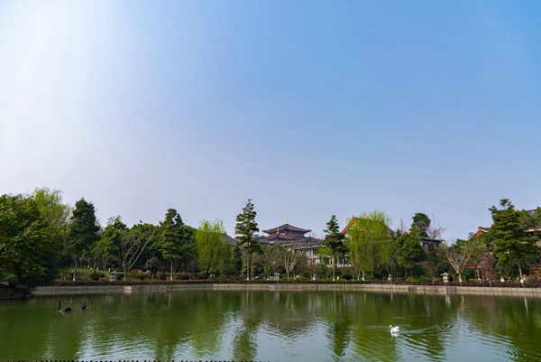 上海浦东星河湾(浦西星河湾地址是哪里)