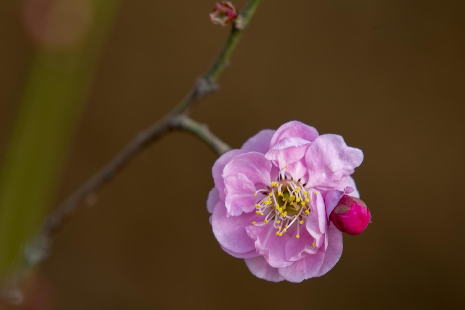 清真大寺(兰州西关清真大寺)