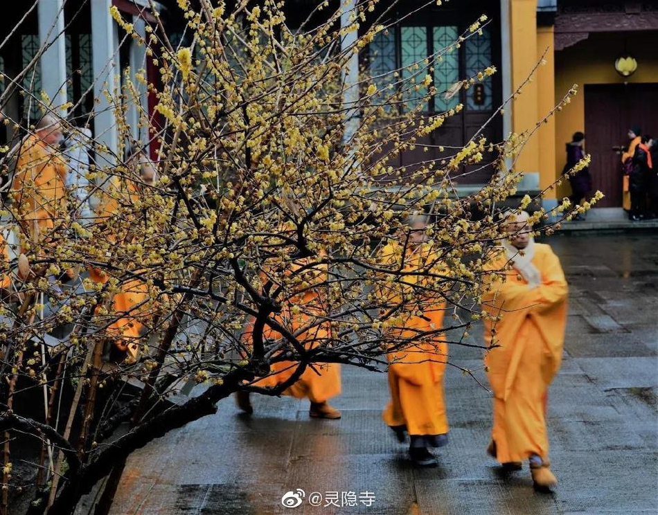 峨眉山滑雪,峨眉山滑雪场门票价格