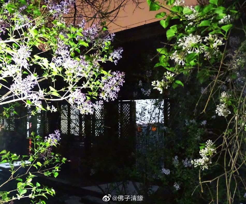 莱芜景点(莱芜景点推荐)