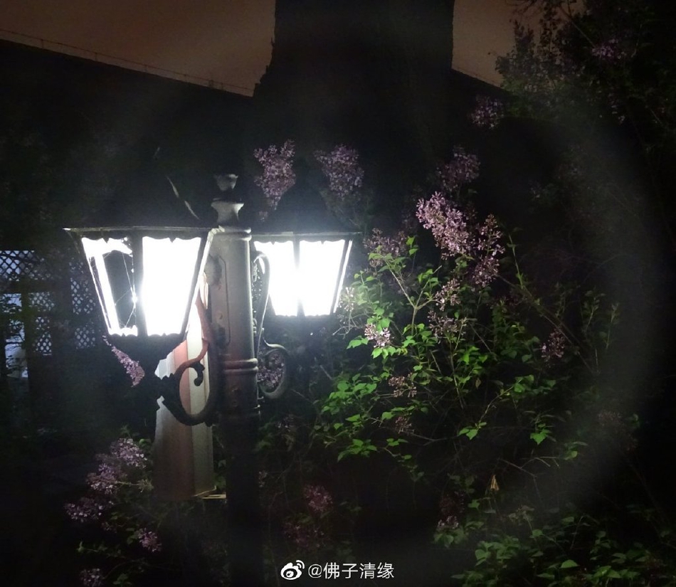 花果山旅游(连云港花果山门票怎么预约)