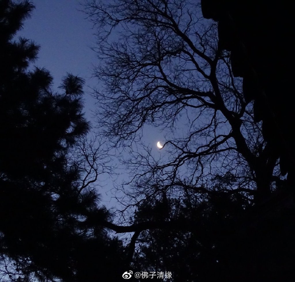 重庆下雨(重庆今天有雨吗)