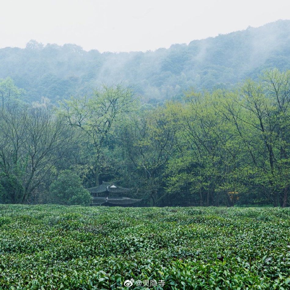 桂林公园好玩吗,桂林的公园好玩排序