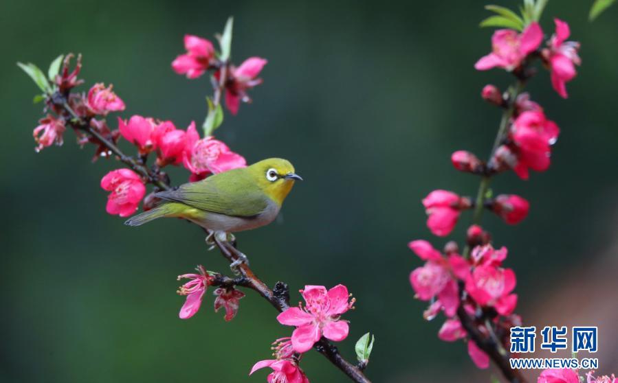 画芭比娃娃游戏下载,芭比之梦想豪宅游戏破解版2023