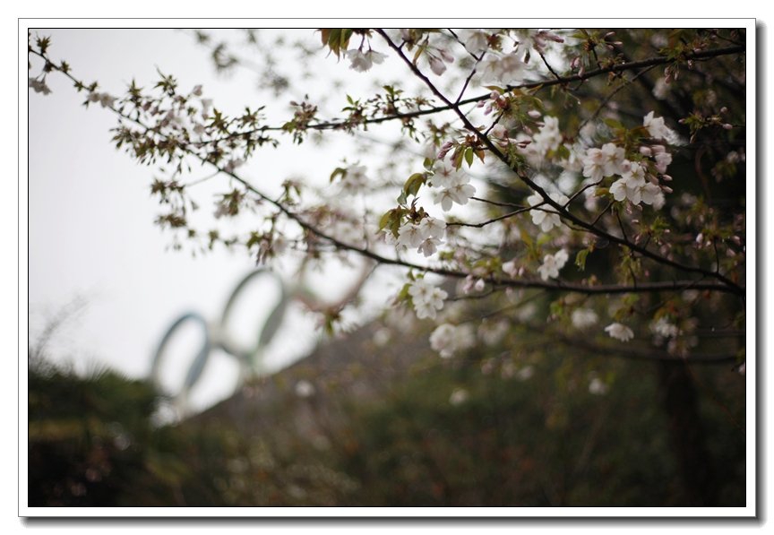 上杭梅花山(上杭华南虎园景区)