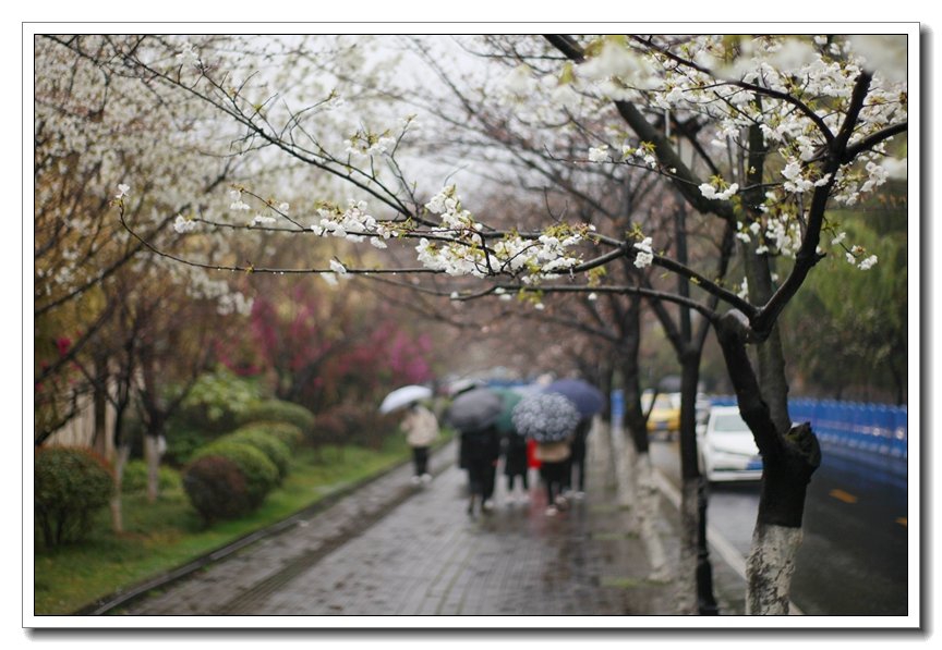 河畔居客栈,西塘河畔居客栈怎么样