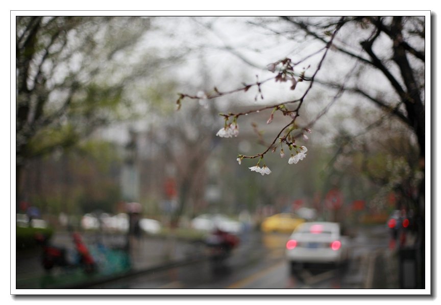 北京最荒凉地铁站,北京为什么没有3号线，北京地铁三号线幽灵站台曝光（