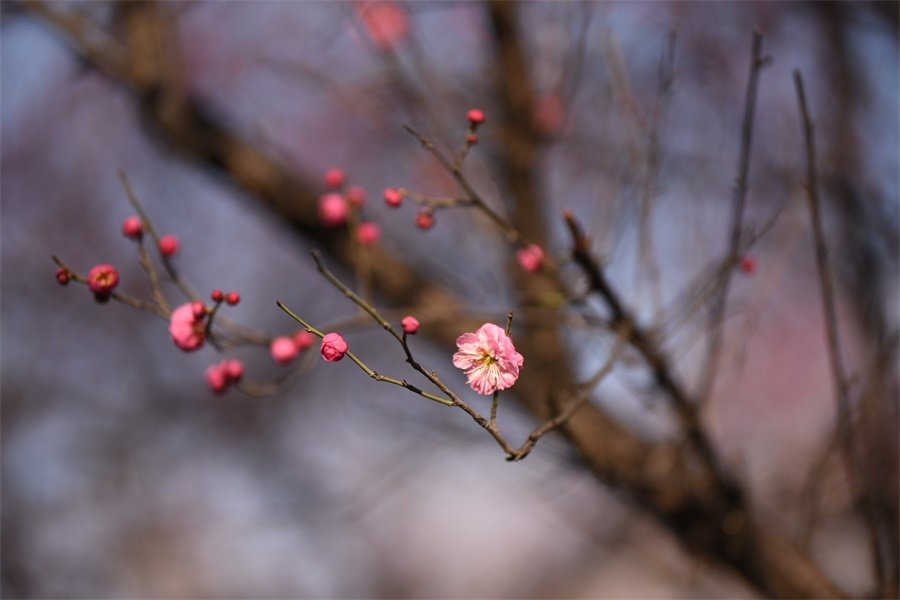 形容淡季的句子(淡季怎么发朋友圈)