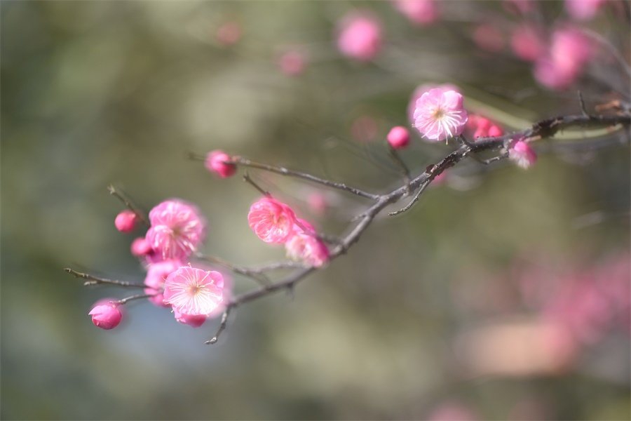 亳州旅游景点大全(亳州旅游景点大全介绍)