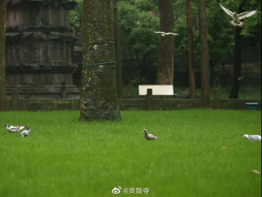 上海迪士尼门票半价,2017上海旅游节迪士尼有半价吗