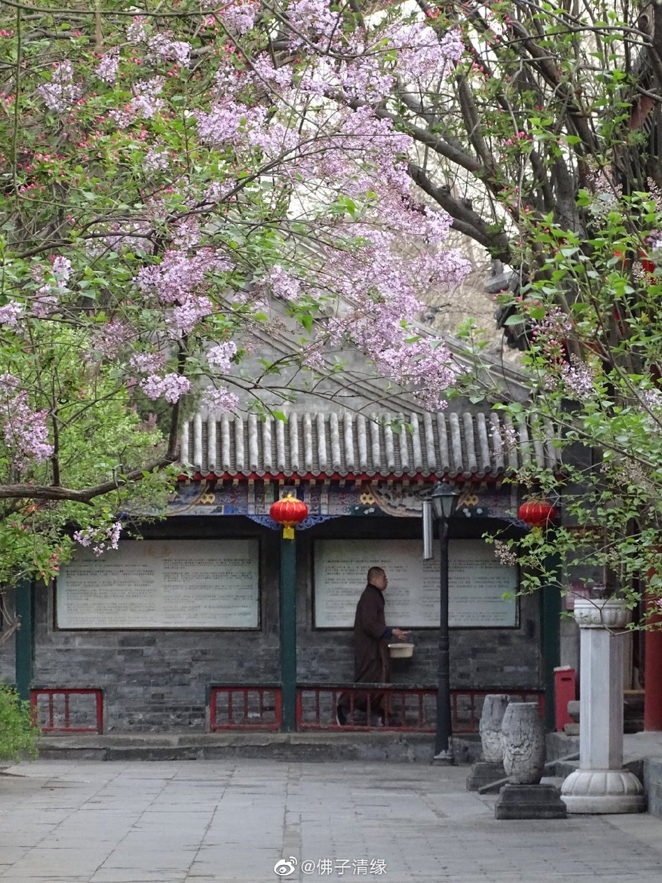 北京西站到北京站,从北京西站到北京站怎么走？