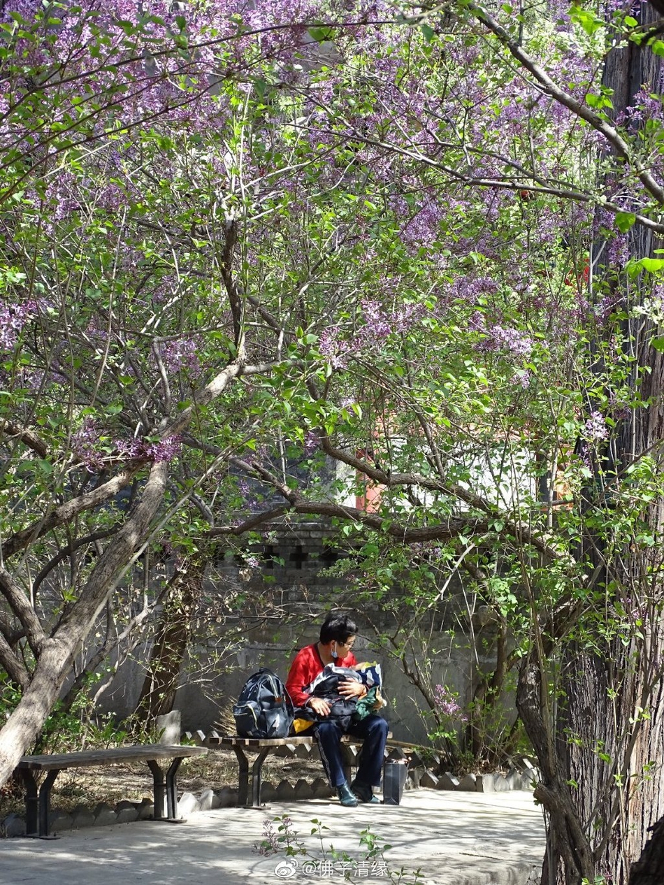 正大广场星美电影院,星美电影院