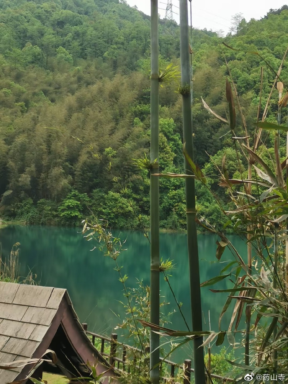 雪乡旅游(雪乡旅游团)