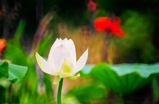 如瑞法师:祝福高考学子(图片来源:如瑞法师微博)