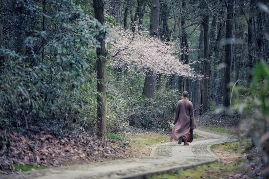 禅诗：五蕴空虚万德圆