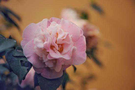 学佛是为了比别人好吗？