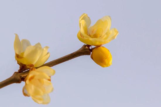 圣严法师：人间智慧（摄影：悟澎）