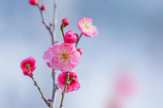 星云大师：生命的能量（摄影：悟澎）