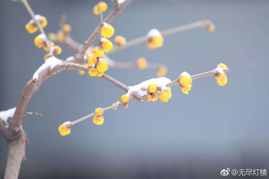 如何使佛学修为能够逐步提高？