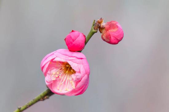 菩提心发起来的时候，是要利益一切众生（摄影：悟澎）