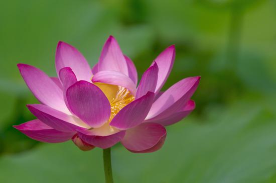 我们是时候该看清楚生命的真相。