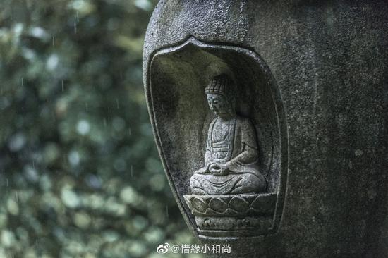 清唳数声松下鹤,寒光一点竹间灯。(摄影:惜缘小和尚)