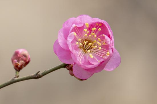 步步着力，必有到家真解脱时也。（摄影：海朝）