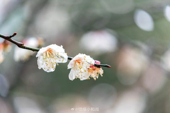 一切有为法，如梦幻泡影，如露亦如电，应作如是观。（摄影：@惜缘小和尚）