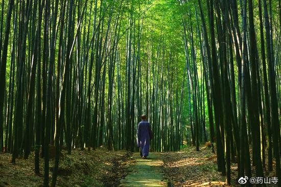 “禅茶一味”是大乘佛法色空不二、理事圆融的无住涅槃境界的生活化诠释。（图片来源：药山寺）