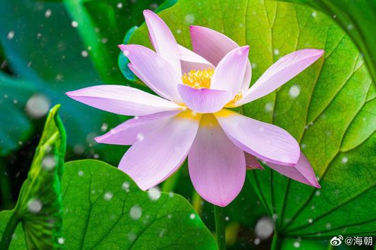 非暴力来自于对“不二”与“相互依存”的洞察