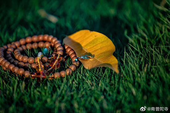 对于佛教徒来说，佩戴念珠是为摄心禅定念佛。（图片来源：南普陀寺）