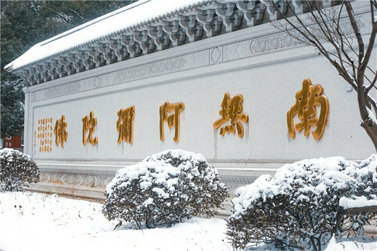千经万论,处处指归。(摄影:惜缘法师)