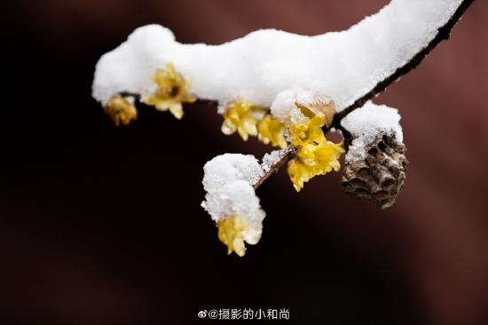 圣严法师:放下一切负担(摄影:惜缘法师)