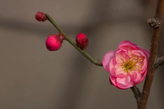 年轻人在学佛道路上怎样才能够不走偏？（摄影：悟澎）