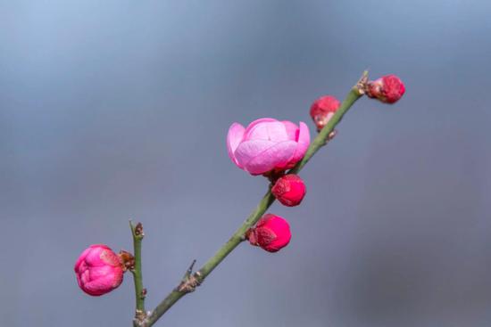 如何了断心中的嗔痴二念？（摄影：悟澎）