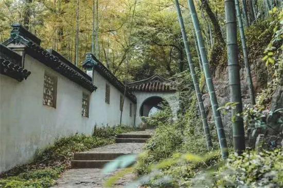 禅诗赏析：久客见华发（摄影：经纬）