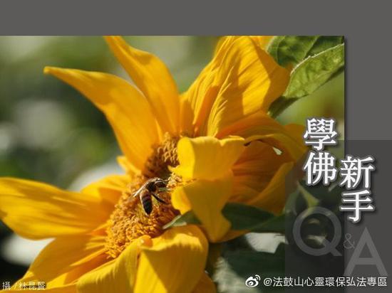 如何建立正确的知见和(图片来源:法鼓山;摄影:林昆贤)