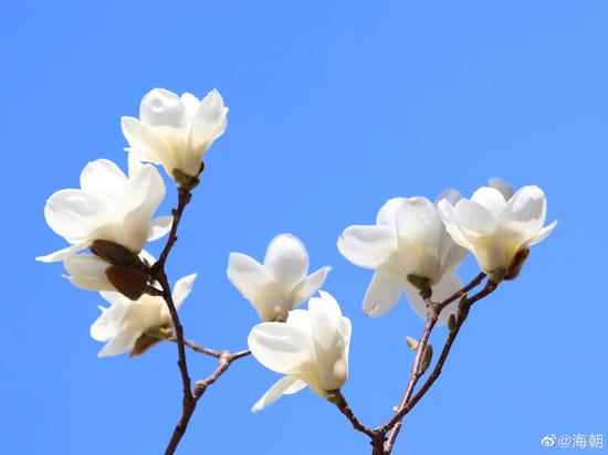 烦恼产生的原因多种多样，根本的原因就是没有智慧。（摄影：@海朝）